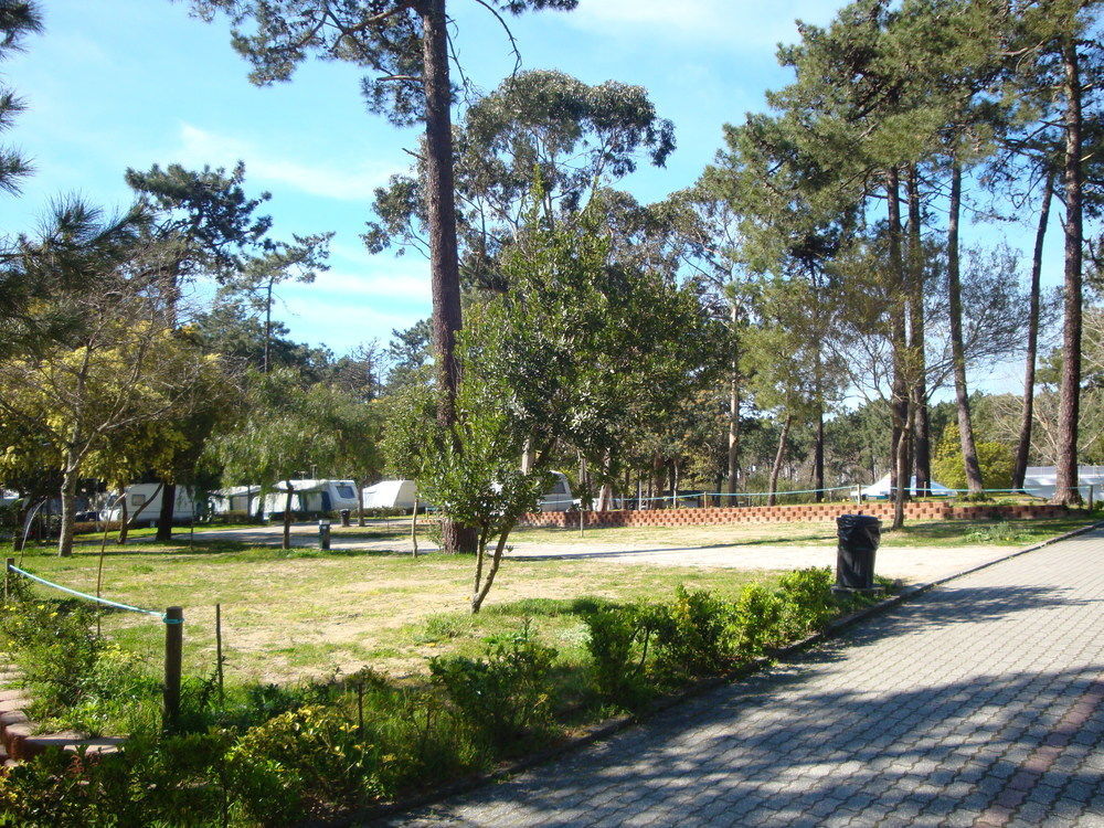 Parque De Campismo Orbitur Caminha Hotel Kültér fotó