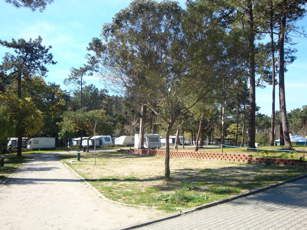 Parque De Campismo Orbitur Caminha Hotel Kültér fotó