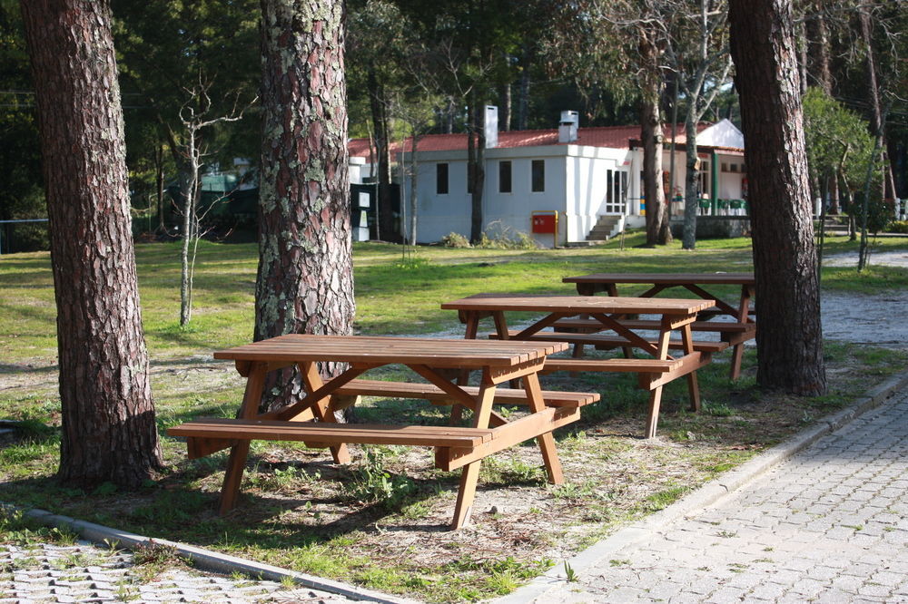 Parque De Campismo Orbitur Caminha Hotel Kültér fotó